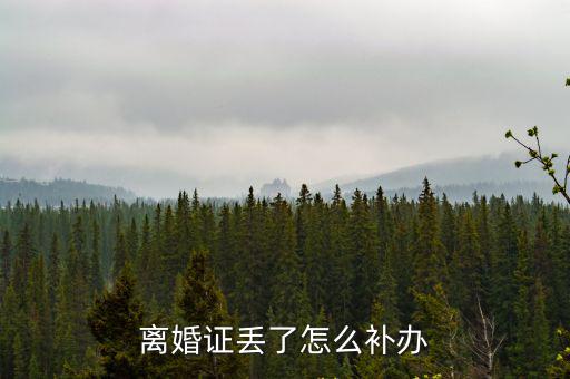 離婚證丟了怎么補辦