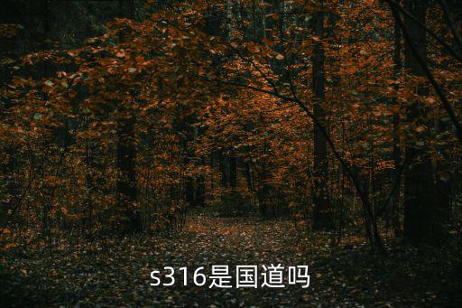s316是國道嗎