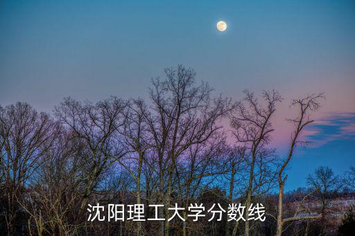沈陽(yáng)理工大學(xué)分?jǐn)?shù)線