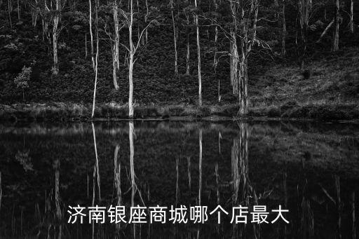 濟南銀座商城哪個店最大