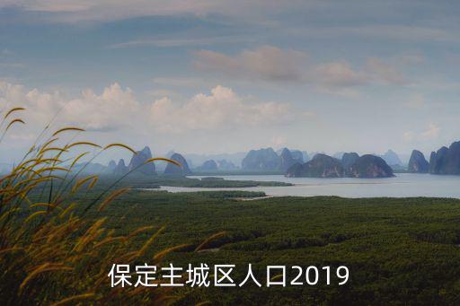保定主城區(qū)人口2019