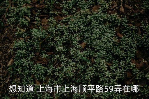 想知道 上海市上海順平路59弄在哪