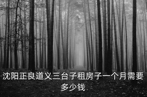 沈陽正良道義三臺子租房子一個月需要多少錢