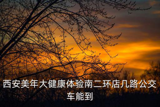 西安美年大健康體驗南二環店幾路公交車能到