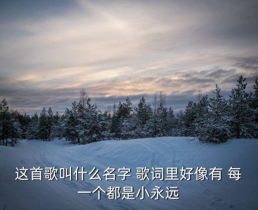 這首歌叫什么名字 歌詞里好像有 每一個都是小永遠(yuǎn)