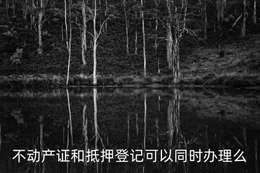 不動產(chǎn)證和抵押登記可以同時辦理么