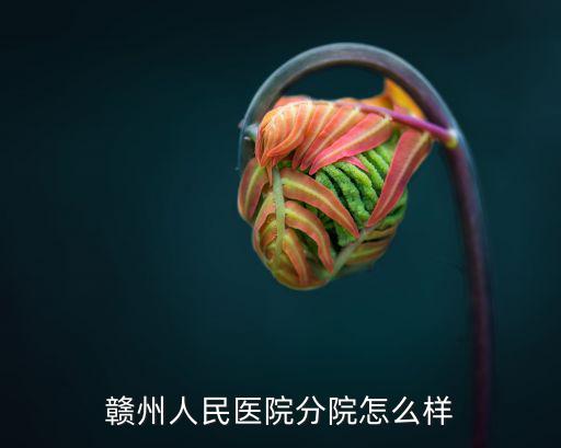 贛州人民醫(yī)院分院怎么樣