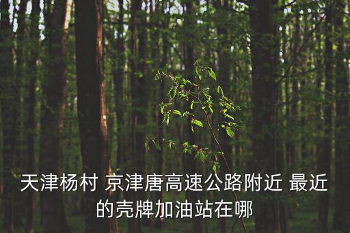附近殼牌加油站，四川省德陽市殼牌加油站哪里有呢