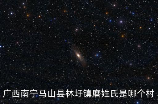 林圩鎮，廣西馬山縣林圩鎮新華村大悶屯姓什么