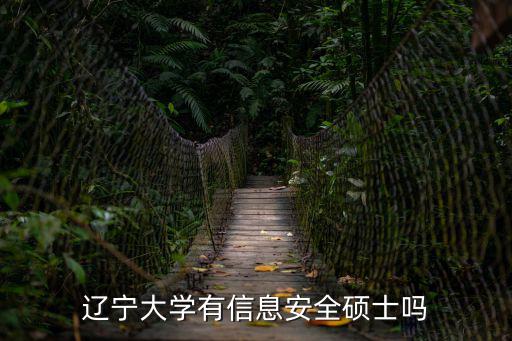 遼寧大學有信息安全碩士嗎