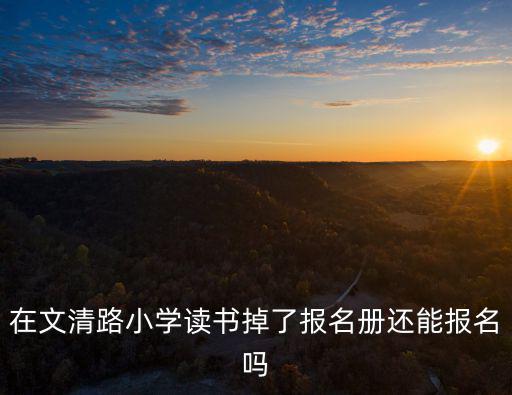 在文清路小學讀書掉了報名冊還能報名嗎