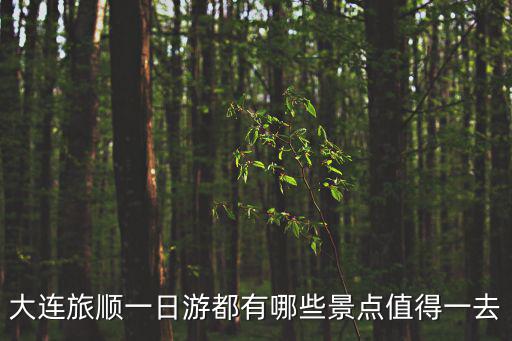 大連旅順一日游都有哪些景點值得一去