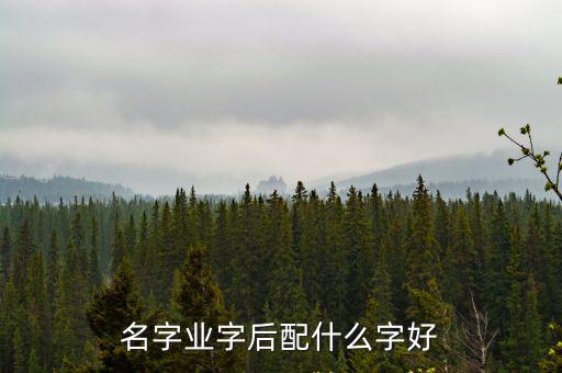 名字業字后配什么字好