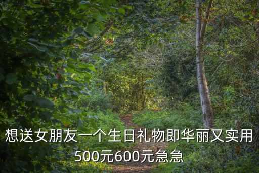 奢華禮品，想送女朋友一個生日禮物即華麗又實用500元600元急急