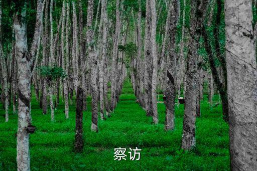 史訪，史岫是什么意思