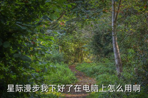 星際漫步我下好了在電腦上怎么用啊