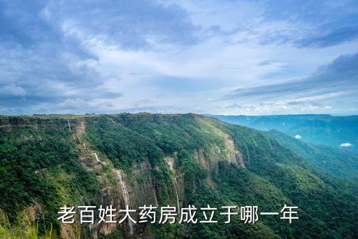 老百姓藥房，天津市零號路有個老百姓大藥房在哪啊