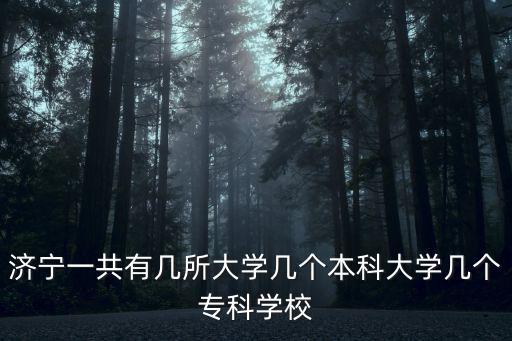 濟寧一共有幾所大學幾個本科大學幾個專科學校