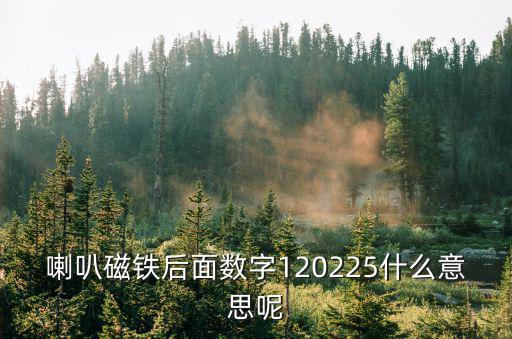 120225，喇叭磁鐵后面數字120225什么意思呢