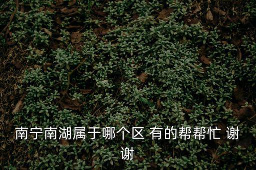 南寧南湖屬于哪個區 有的幫幫忙 謝謝