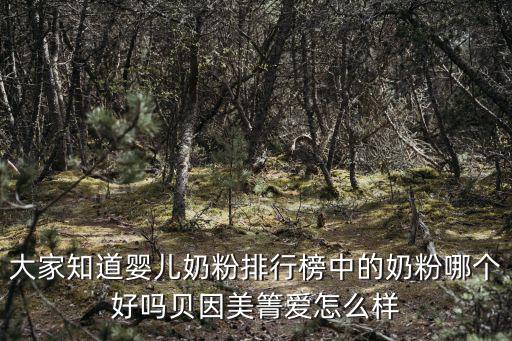 大家知道嬰兒奶粉排行榜中的奶粉哪個好嗎貝因美箐愛怎么樣
