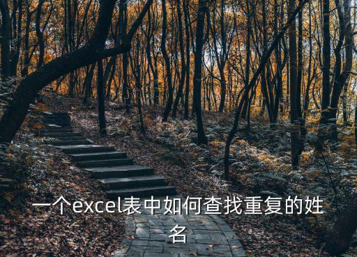 一個excel表中如何查找重復的姓名