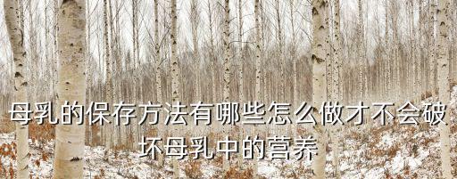 母乳的保存方法有哪些怎么做才不會破壞母乳中的營養