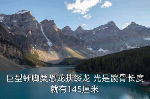 扶綏龍，廣西扶綏龍谷灣旅游休閑度假區(qū)有限公司怎么樣