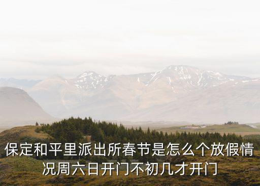 保定和平里派出所春節(jié)是怎么個放假情況周六日開門不初幾才開門