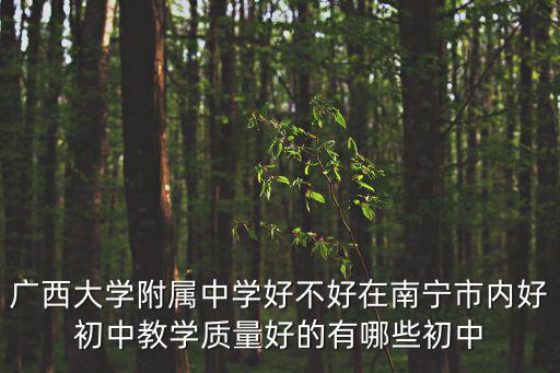 廣西大學附屬中學好不好在南寧市內好初中教學質量好的有哪些初中