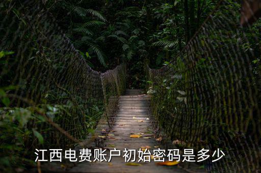 江西電費賬戶初始密碼是多少