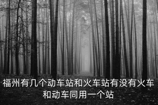 福州有幾個動車站和火車站有沒有火車和動車同用一個站