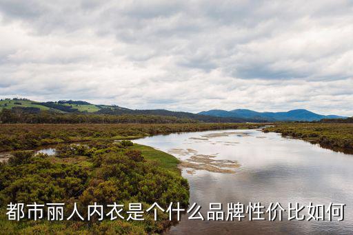 都市麗人內衣是個什么品牌性價比如何