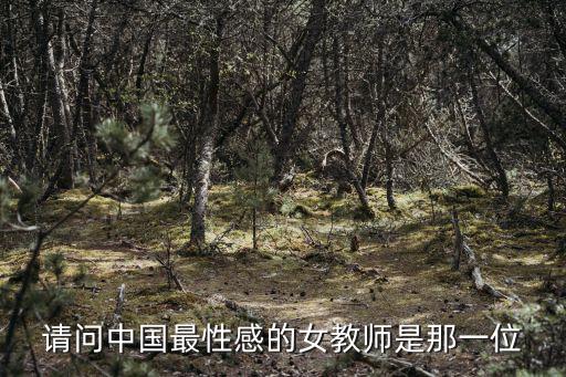 請問中國最性感的女教師是那一位
