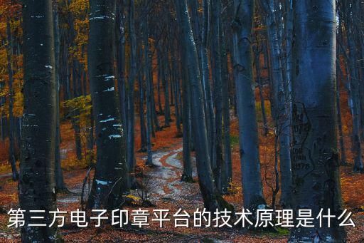 第三方電子印章平臺的技術原理是什么