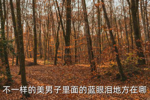 不一樣的美男子里面的藍眼淚地方在哪