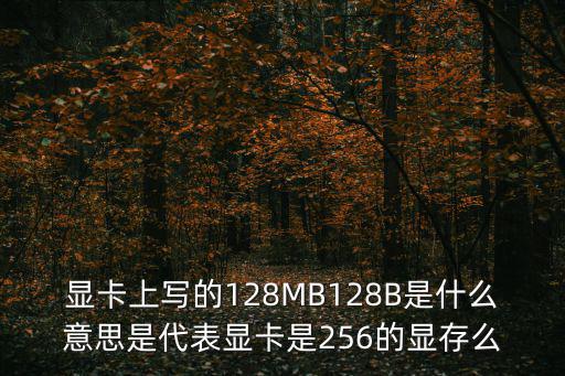 顯卡上寫的128MB128B是什么意思是代表顯卡是256的顯存么