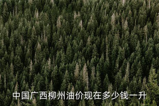 中國廣西柳州油價現在多少錢一升