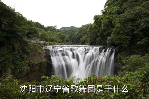 遼寧歌舞團，現在就讀于遼寧歌舞團附屬學校今年14歲今年1月份可以參加專業高考