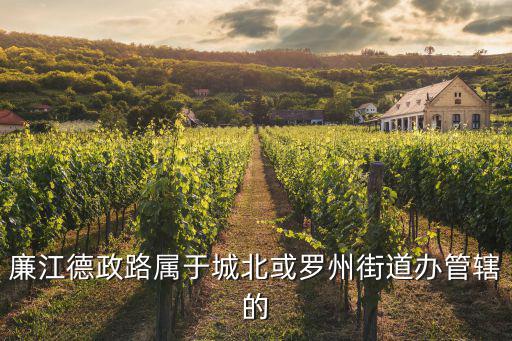 廉江德政路屬于城北或羅州街道辦管轄的