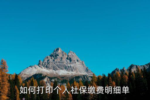 個(gè)人社保參保證明打印，如何打印個(gè)人社保繳費(fèi)明細(xì)單