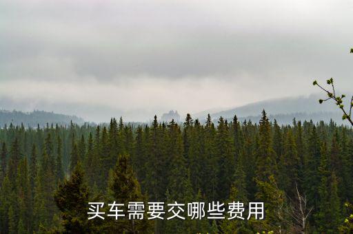 買車需要交哪些費用