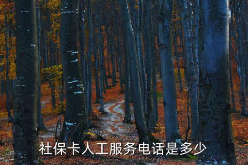 社保卡人工服務電話是多少