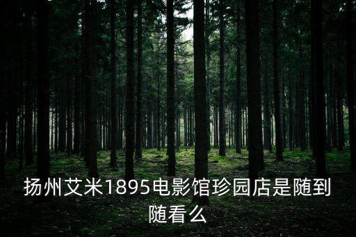 艾米1895，艾米1895電影街靜安店明天有什么電影