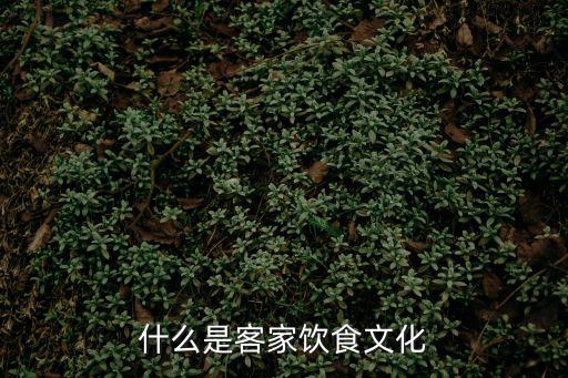 什么是客家飲食文化