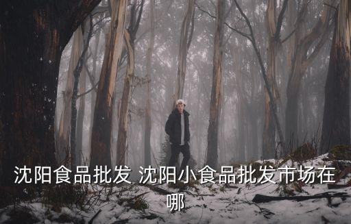 沈陽食品批發(fā) 沈陽小食品批發(fā)市場在哪