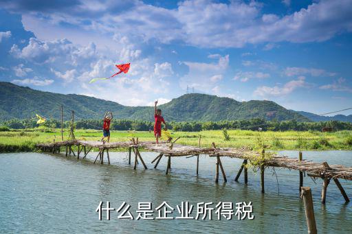 什么是企業所得稅