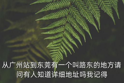 從廣州站到東莞有一個叫路東的地方請問有人知道詳細地址嗎我記得