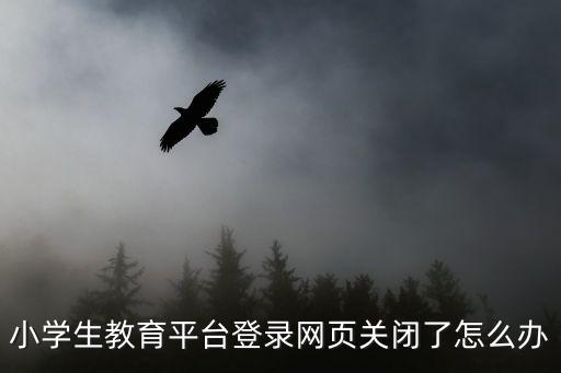 小學生教育平臺登錄網頁關閉了怎么辦