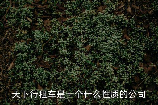 天下行租車是一個什么性質的公司